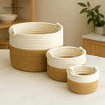 Load image into Gallery viewer, Terra Twist Handle Basket – Set of 3