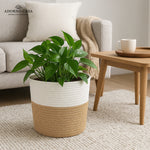 Load image into Gallery viewer, Sienna Jute &amp; Cotton Basket – Beige Whisper
