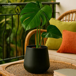 Load image into Gallery viewer, Noire Sculpt Matte Powder-Coated Metal Vase
