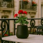 Load image into Gallery viewer, Noire Sculpt Matte Powder-Coated Metal Vase
