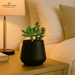 Load image into Gallery viewer, Noire Sculpt Matte Powder-Coated Metal Vase
