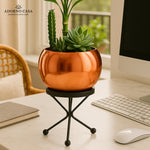 Load image into Gallery viewer, Luna Metal Pot Paired with a Sturdy Black Iron Stand