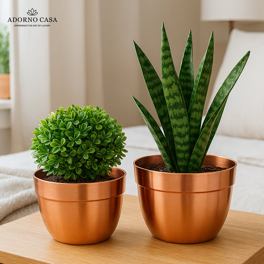 Solis Curved Metallic Finish Metal Planter Set of 2