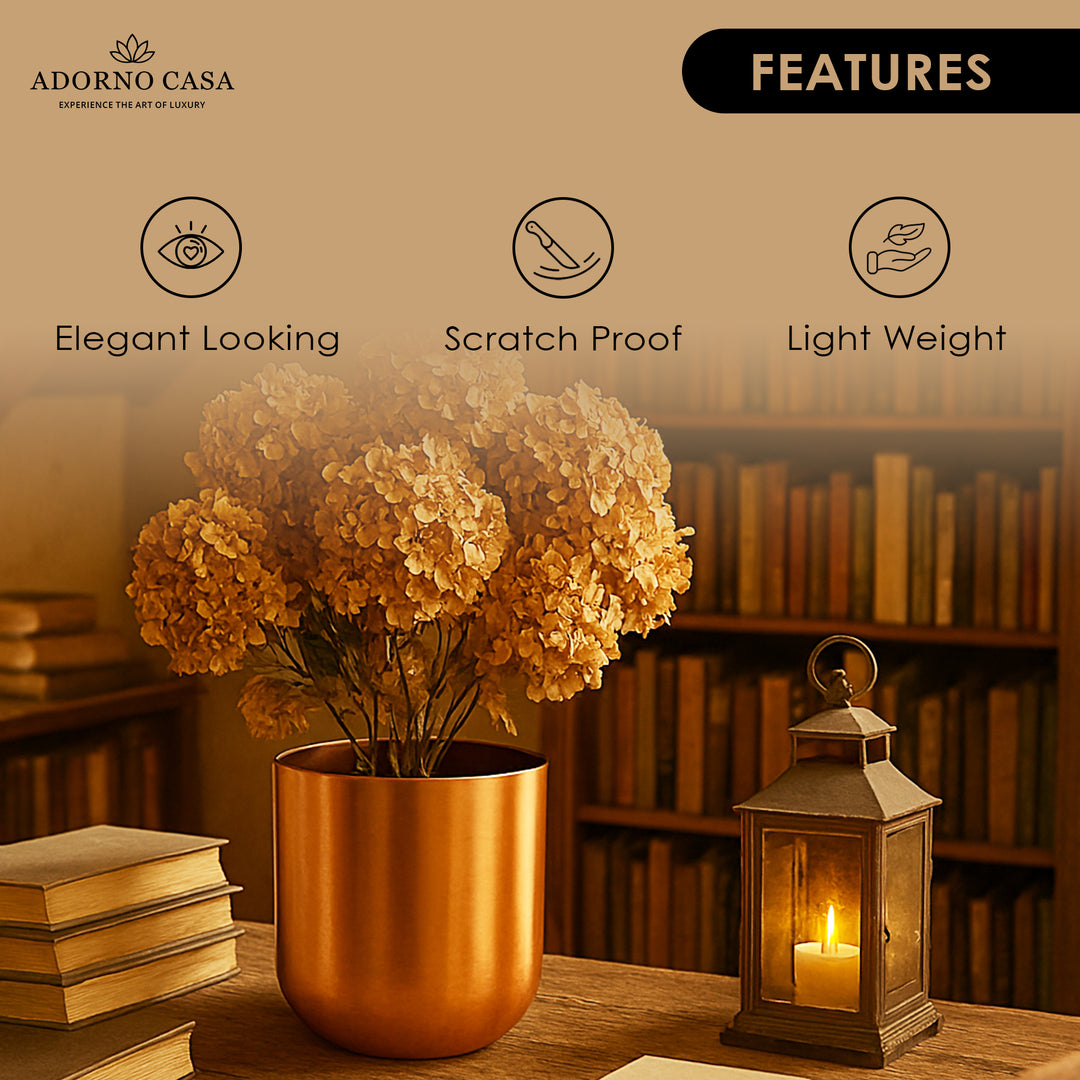 Auric Metal Polished Pots with Minimalist Curves