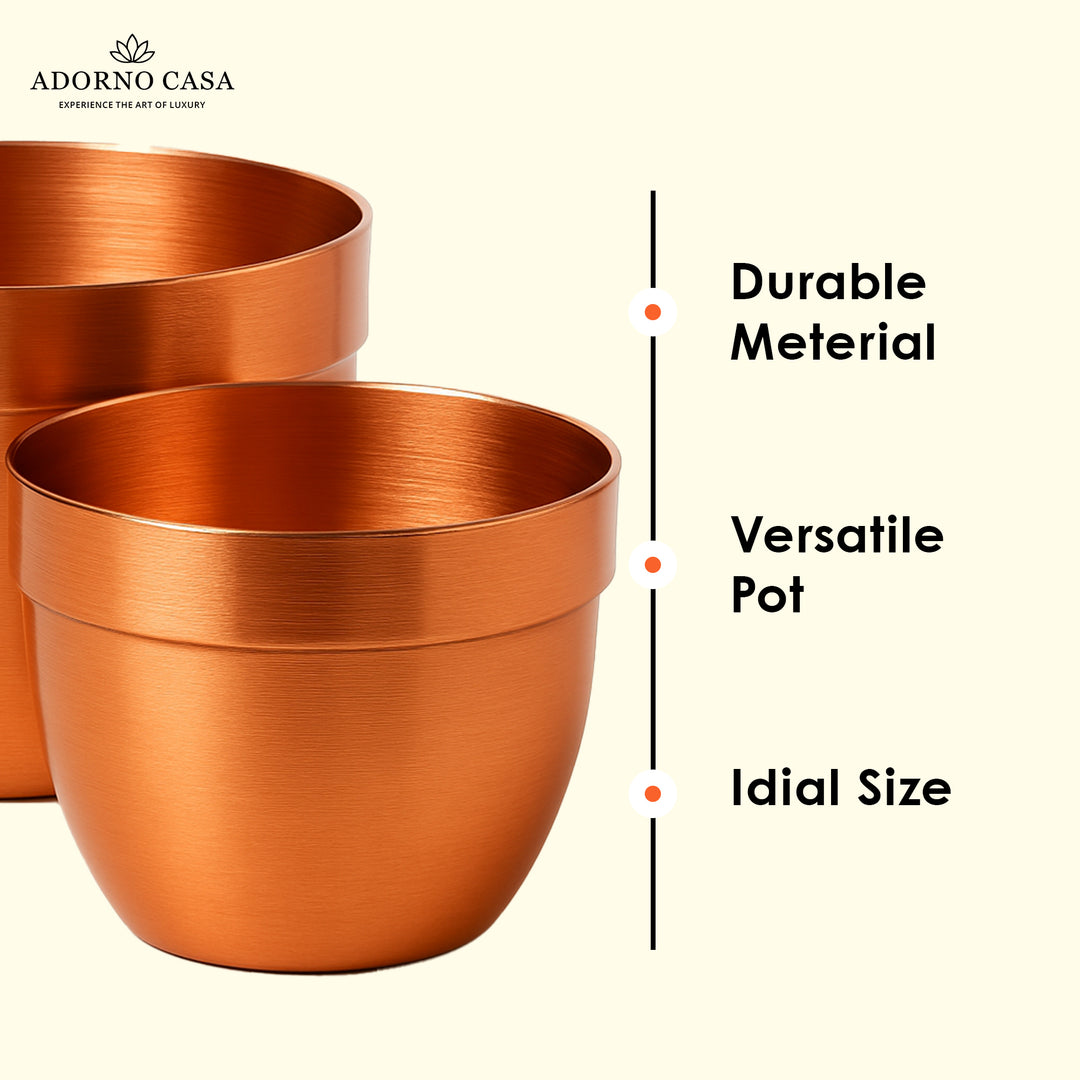 Solis Curved Metallic Finish Metal Planter Set of 2