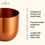 Load image into Gallery viewer, Auric Metal Polished Pots with Minimalist Curves