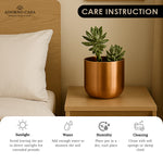 Load image into Gallery viewer, Auric Metal Polished Pots with Minimalist Curves