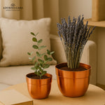 Load image into Gallery viewer, Solis Curved Metallic Finish Metal Planter Set of 2