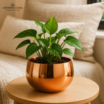 Load image into Gallery viewer, Lustre Metallic Finish Accent Metal Bowl
