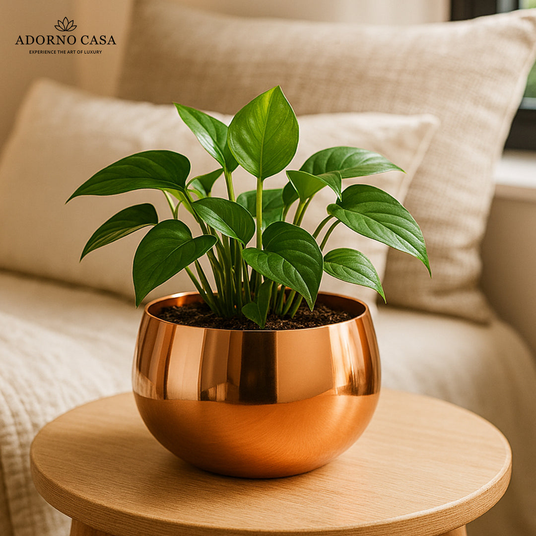 Lustre Metallic Finish Accent Metal Bowl