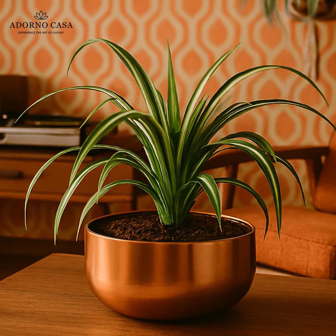 Halo Metallic Finish Rounded Metal Bowl