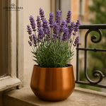 Load image into Gallery viewer, Lustre Sculpted Finish Accent Metal Bowl