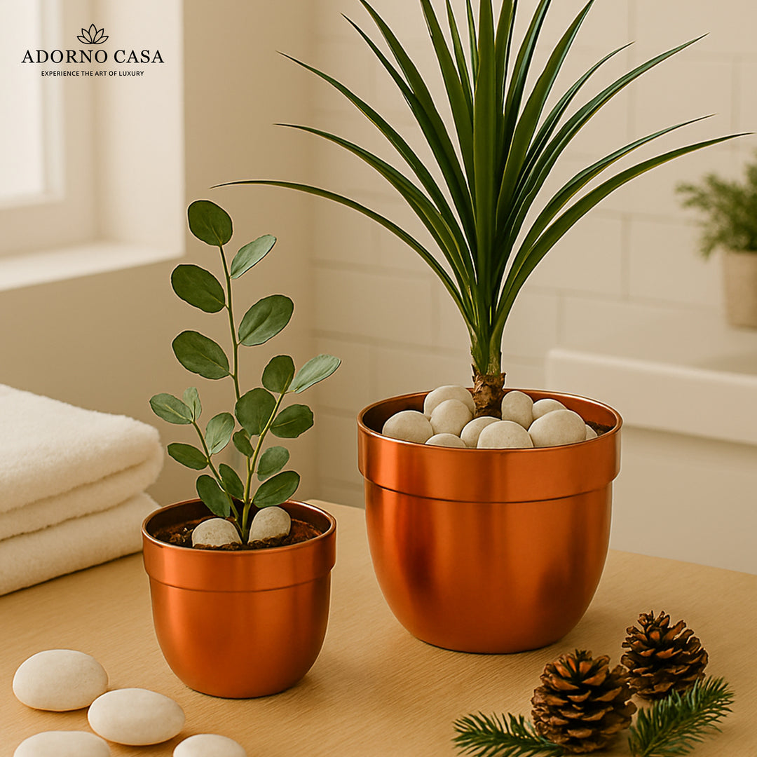 Solis Curved Metallic Finish Metal Planter Set of 2