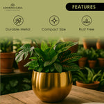 Load image into Gallery viewer, Lustre Metallic Finish Accent Metal Bowl
