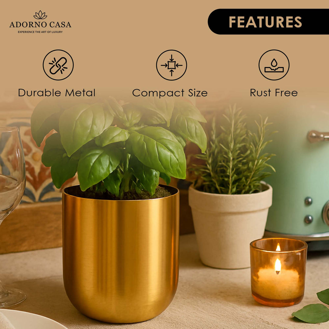 Auric Metal Polished Pots with Minimalist Curves