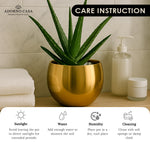 Load image into Gallery viewer, Lustre Metallic Finish Accent Metal Bowl
