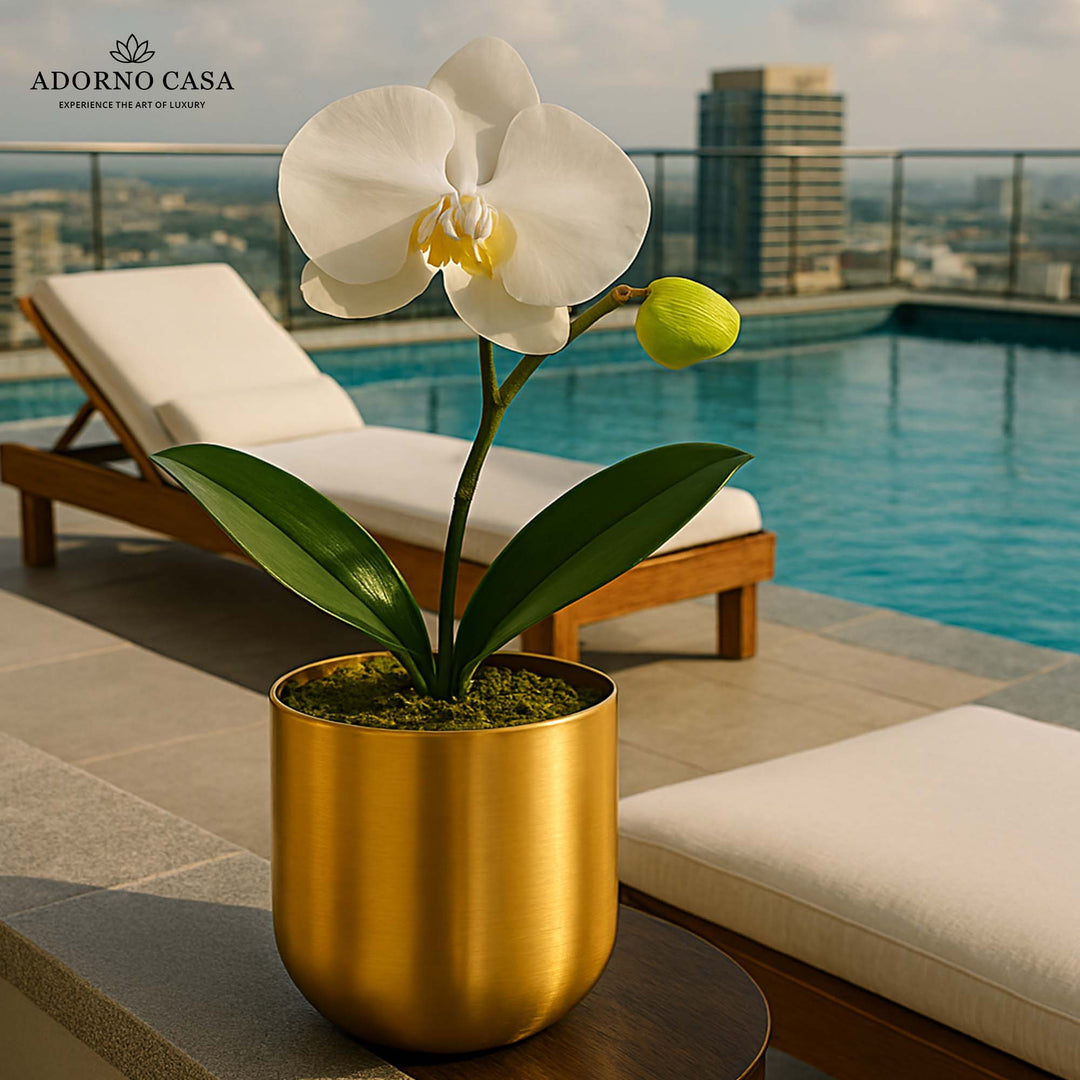 Auric Metal Polished Pots with Minimalist Curves