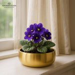 Load image into Gallery viewer, Halo Metallic Finish Rounded Metal Bowl
