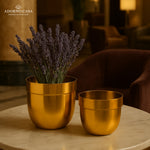 Load image into Gallery viewer, Solis Curved Metallic Finish Metal Planter Set of 2