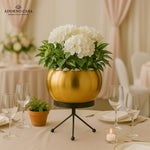 Load image into Gallery viewer, Luna Metal Pot Paired with a Sturdy Black Iron Stand