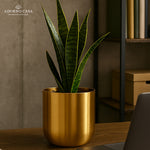Load image into Gallery viewer, Auric Metal Polished Pots with Minimalist Curves