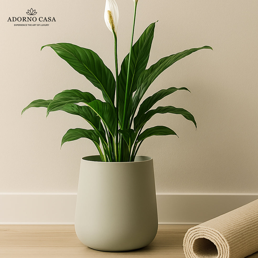 Noire Sculpt Matte Powder-Coated Metal Vase