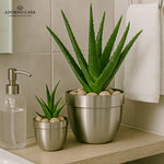 Load image into Gallery viewer, Solis Curved Metallic Finish Metal Planter Set of 2