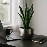 Load image into Gallery viewer, Lustre Metallic Finish Accent Metal Bowl
