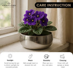 Load image into Gallery viewer, Halo Metallic Finish Rounded Metal Bowl
