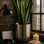 Load image into Gallery viewer, Auric Metal Polished Pots with Minimalist Curves