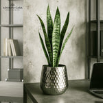 Load image into Gallery viewer, Aurum Hammered Finish Metal Accent Vase
